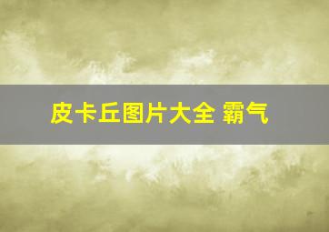 皮卡丘图片大全 霸气